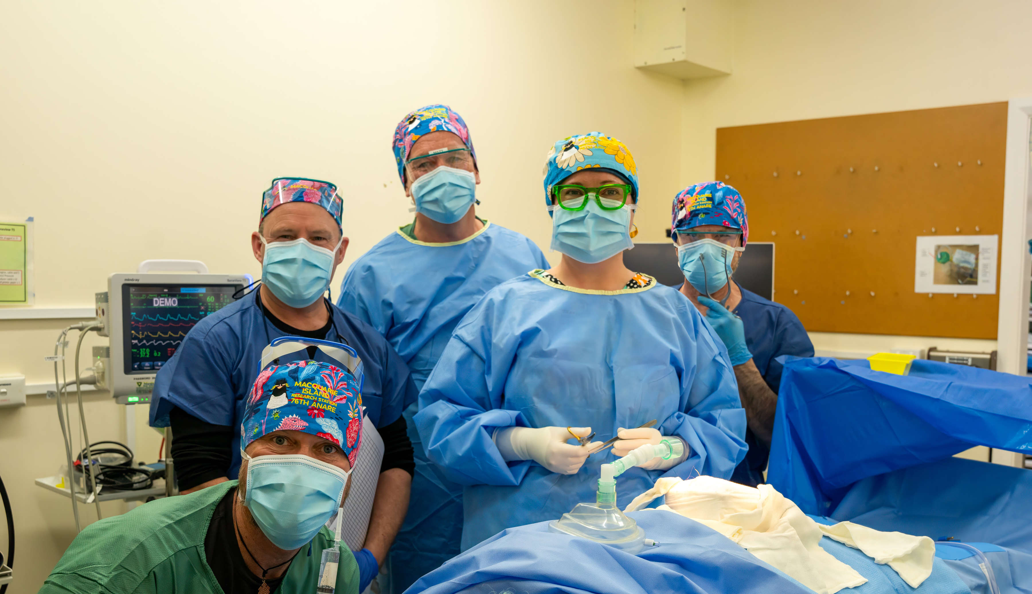 Lay surgical assistant team on Macquarie Island training.