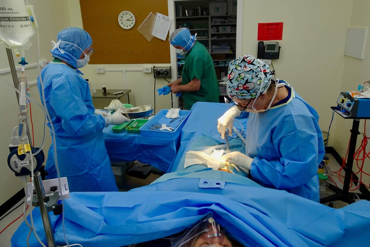 Surgical training exercise. Photo: Australian Antarctic Division.